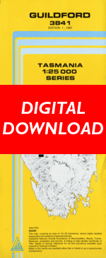 Digital Guildford 1:25000 Topographic/Cadastral Map