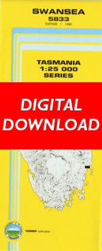 Digital Swansea 1:25000 Topographic/Cadastral Map