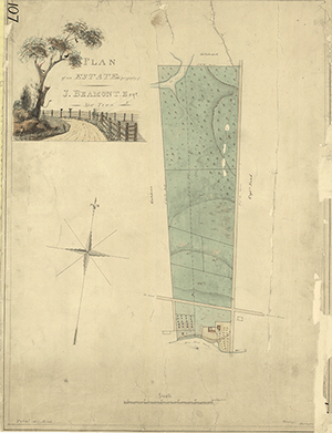 Buckingham 107 - Historical Chart