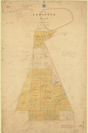 Longford L55 - Historical Chart